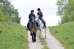 001-Bluebell-Ride-2026