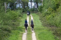 006-Bluebell-Ride-2026