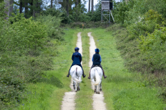 012-Bluebell-Ride-2026