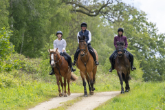 013-Bluebell-Ride-2026