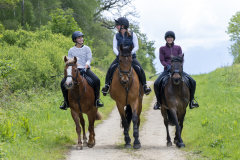 015-Bluebell-Ride-2026