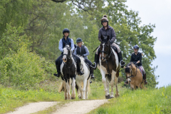 016-Bluebell-Ride-2026