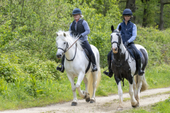 020-Bluebell-Ride-2026