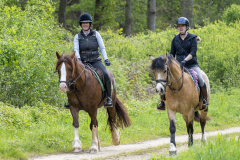 021-Bluebell-Ride-2026