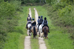 022-Bluebell-Ride-2026