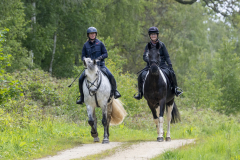 023-Bluebell-Ride-2026