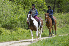 217-Bluebell-Ride-2026