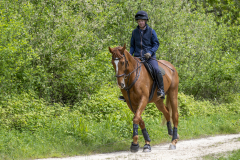 219-Bluebell-Ride-2026