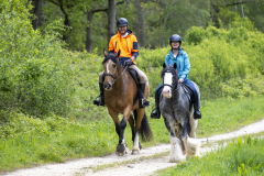 220-Bluebell-Ride-2026