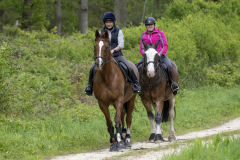 227-Bluebell-Ride-2026
