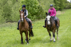 237-Bluebell-Ride-2026