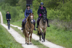 239-Bluebell-Ride-2026