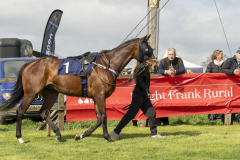004-Dingley-4th-April-2026-3rd-race