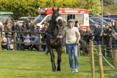 008-Dingley-4th-April-2026-3rd-race