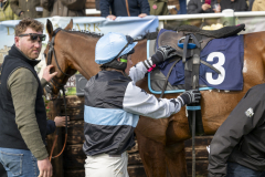 056-Dingley-4th-April-2026-3rd-race