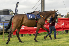 010-Dingley-4th-April-2026-4th-race