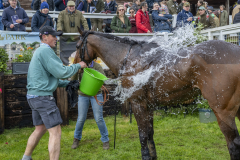 094-Dingley-4th-April-2026-4th-race