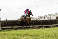 081-Dingley-4th-April-2026-5th-race