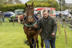 005-Dingley-4th-April-2026-6th-race